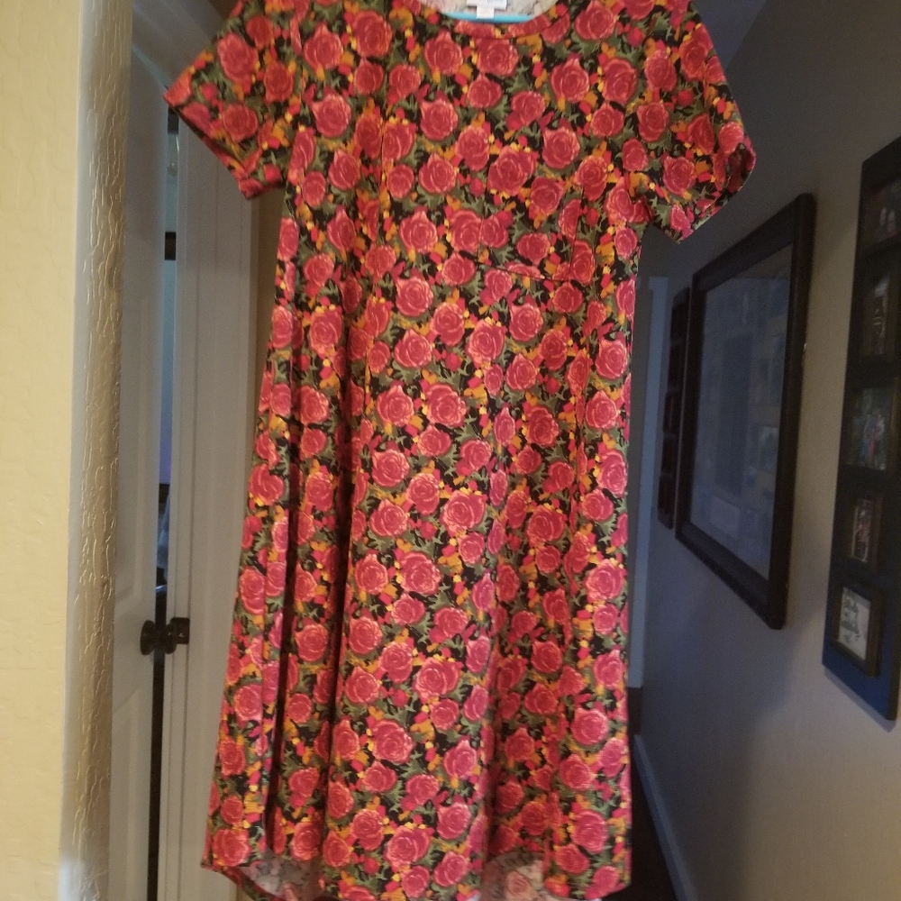 LulaRoe Carly dress